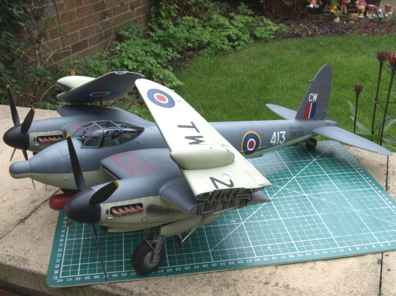 large scale mosquito model